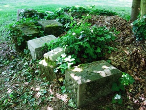Out of sight_out of mind Comet Lodge Cemetery