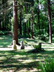 Stones in the woods