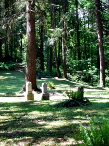 Overview_photo Stones in the woods