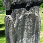 Snapshots: Mysterious family crests