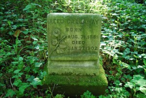 Reed Callaway