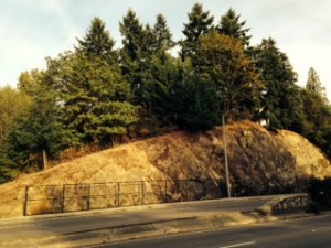 anticline